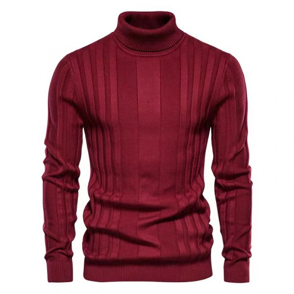 Pull fin uni rayures relief col roulé pour homme